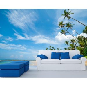 Dream Holidays