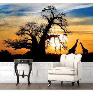 Sunset Safari