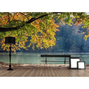 Peace On The Bench