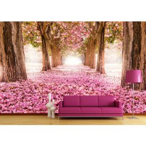 Cherry Blossom