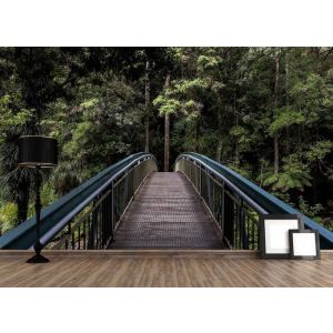 Forest Bridge
