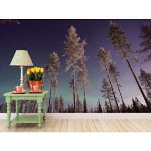 Tall Trees