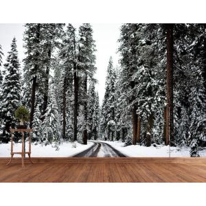 Traveling In The Snow