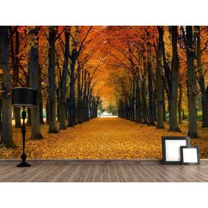 Fall Path