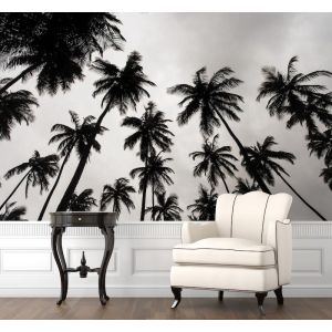 Palm Trees In Black And White