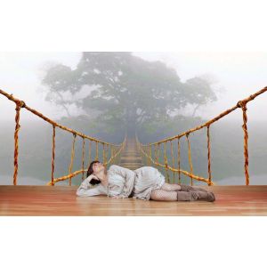 Deep Bridge