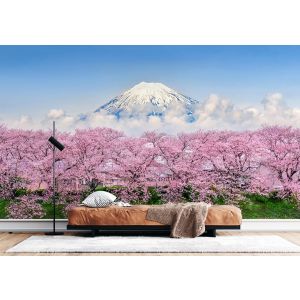 Mount Fuji Cherry Blossom