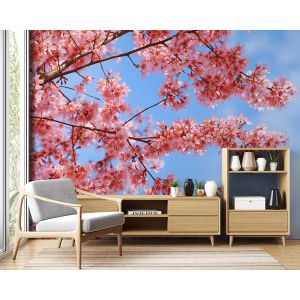 Cherry Blossom Tree