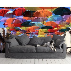 Rain Umbrella