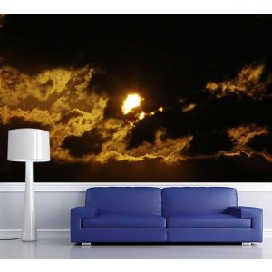 In The Light Of The Dark