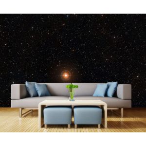 Under The Stars