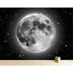 The Moon And The Stars