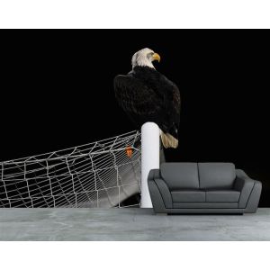 Landing Of The Eagle