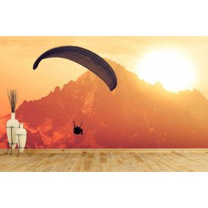 Paragliding Track
