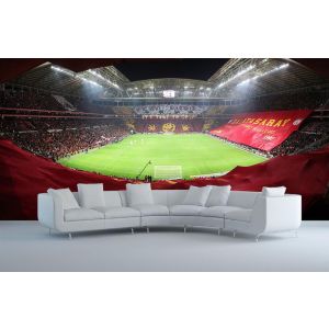 Galatasaray Turk Telekom Arena Stadium