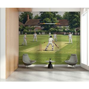 Cricket Poster