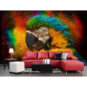 Parrot
