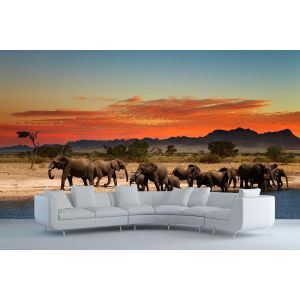 Pausing Elephants