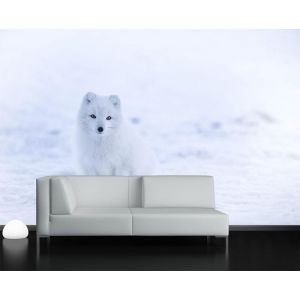Lonely Wolf