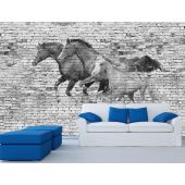 Equestrian Wall