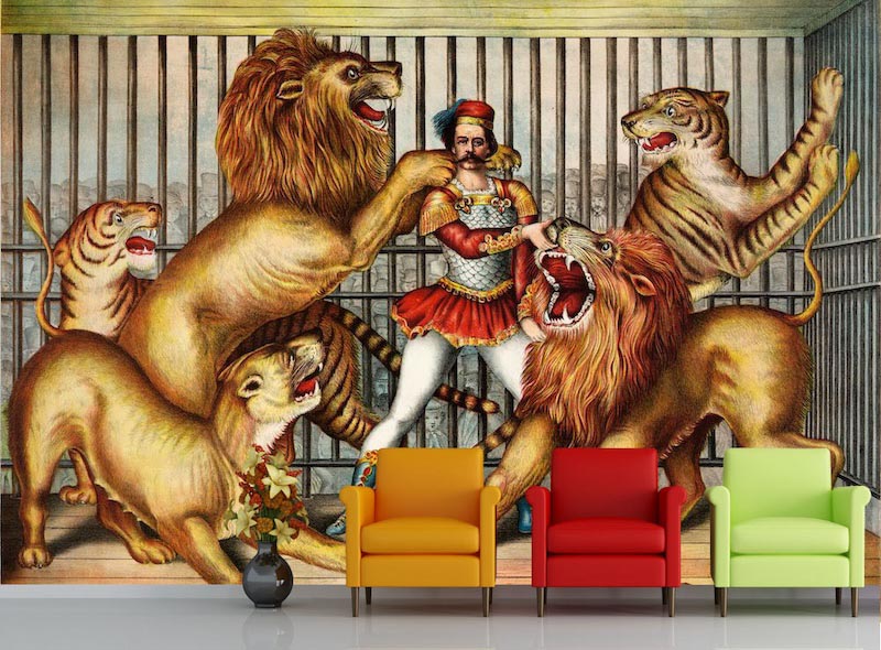 Lion trainer - 3D wallpaper for wall applied