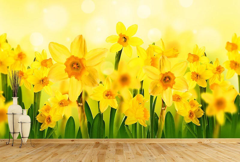 Sun and flowers - Mural wallpaper applied