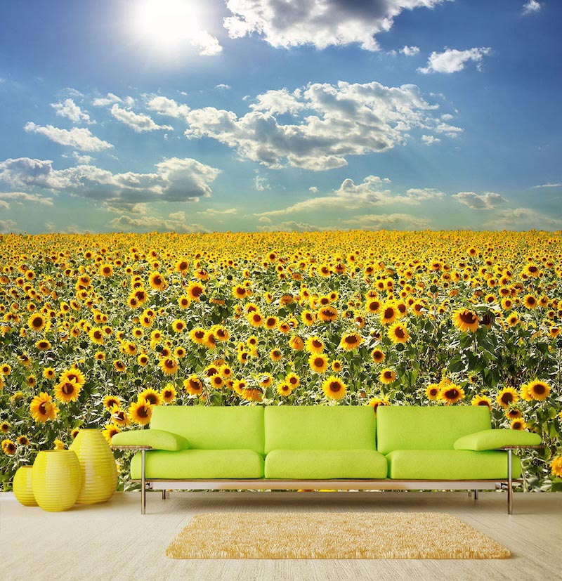 Lunar landscape - 3D wallpaper for wall applied