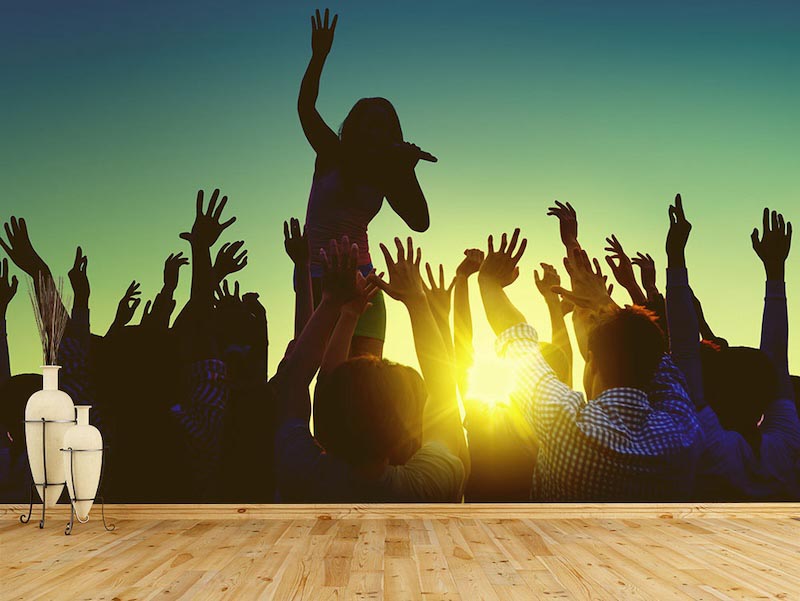 Rock concert - Mural wallpaper applied