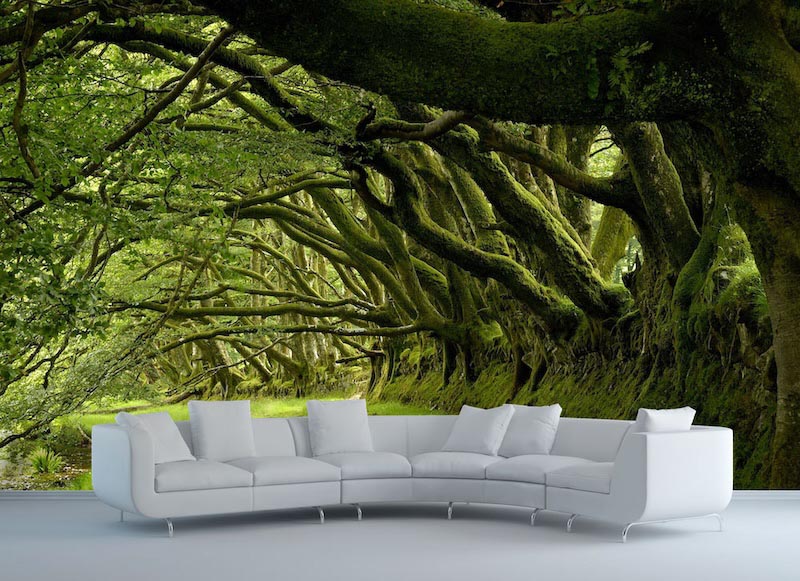 Between trees - Photo wallpaper decor applied