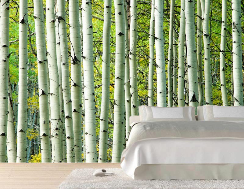 Green poplars - 3D wallpaper for wall applied