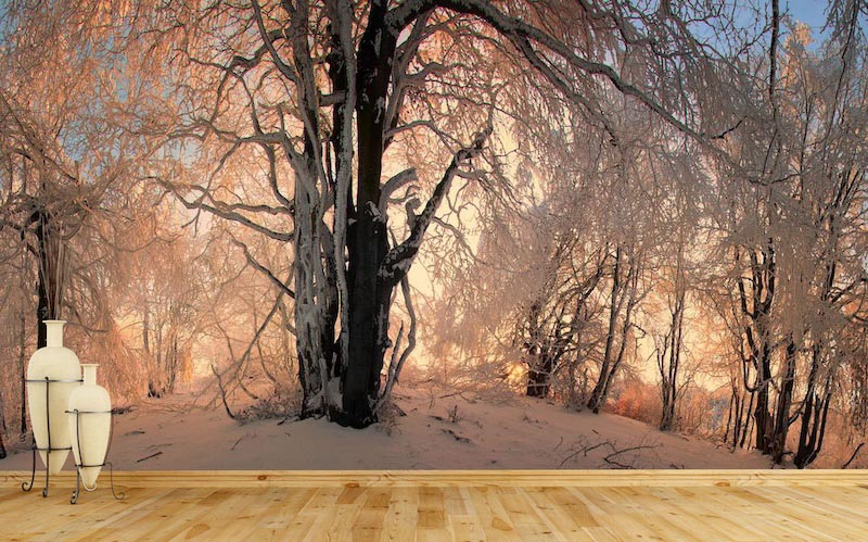 Winter hill - Photo wallpaper decor applied