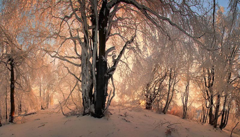 Winter hill - Photo wallpaper decor