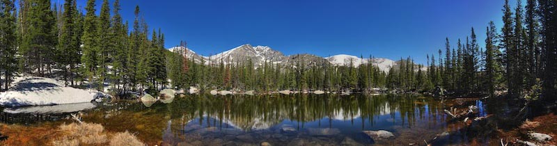 Panoramic forest view - 3D wallpaper decoration
