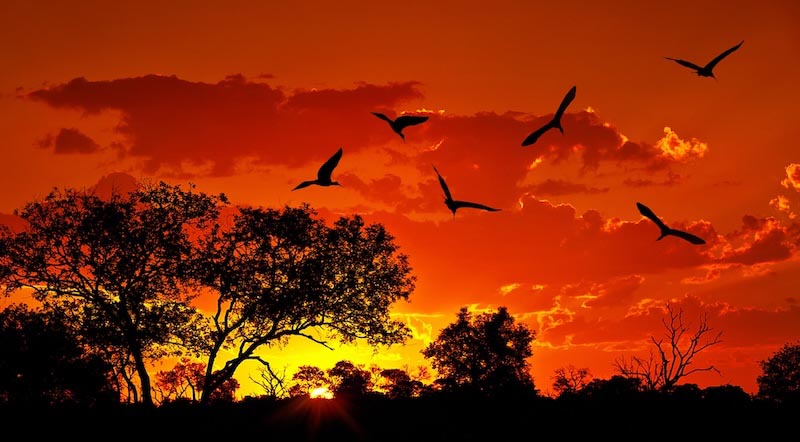 Red Sky - 3D wallpaper decoration