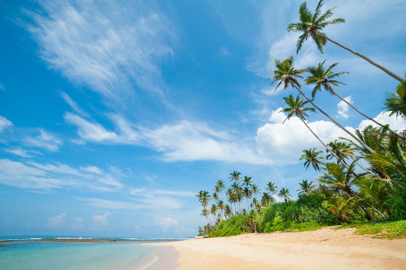 Dream holidays - 3D wallpaper for wall