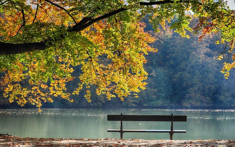 Peace on the bench - 3D wallpaper decoration