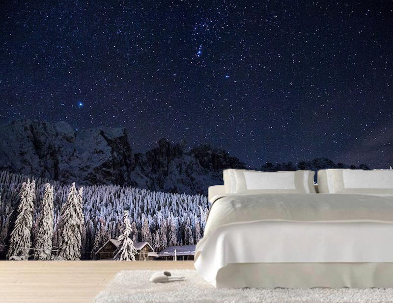 Trees in the sky - Mural wallpaper applied