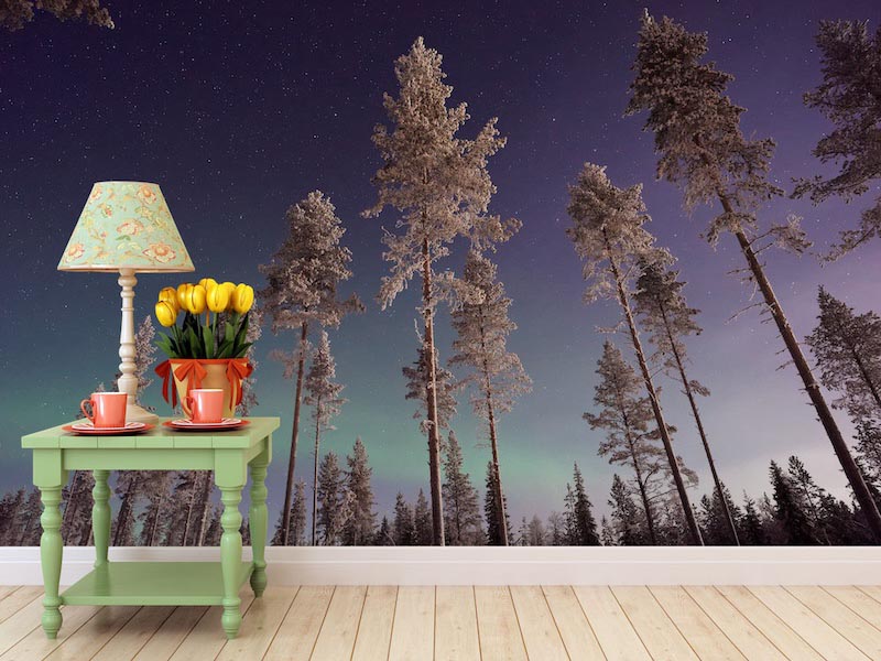 Tall trees - 3D wallpaper for wall applied