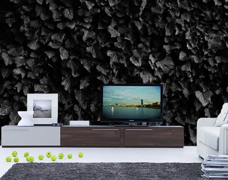 Black leaves - Mural wallpaper applied