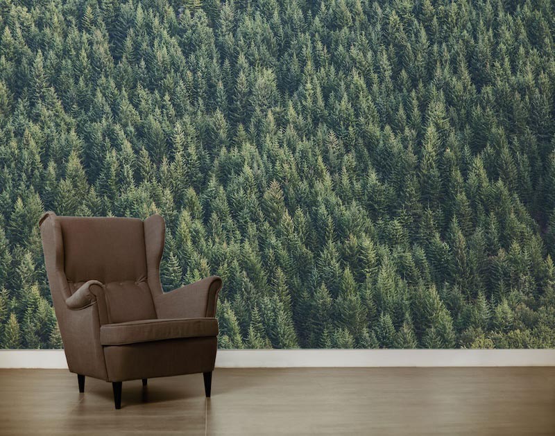 Adjacent glass trees - Photo wallpaper decor applied