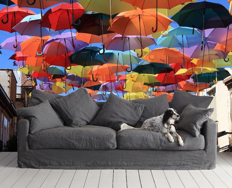 Rain umbrella - Mural wallpaper applied
