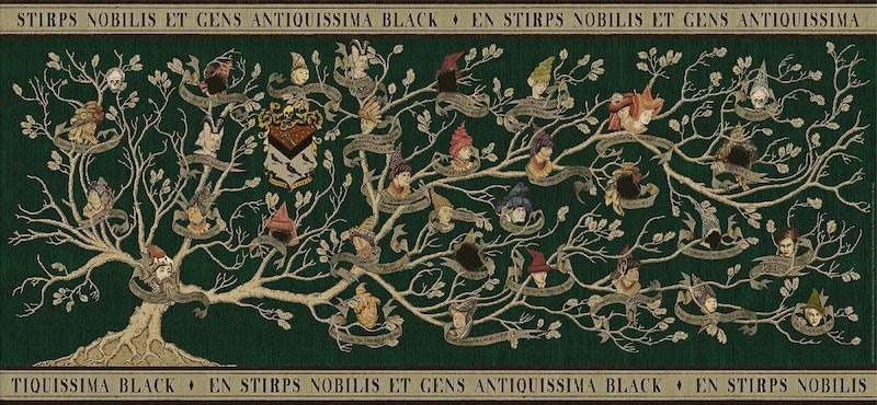 Explore the Mystique of Harry Potter: The Black Family Tree Wallpaper Mural