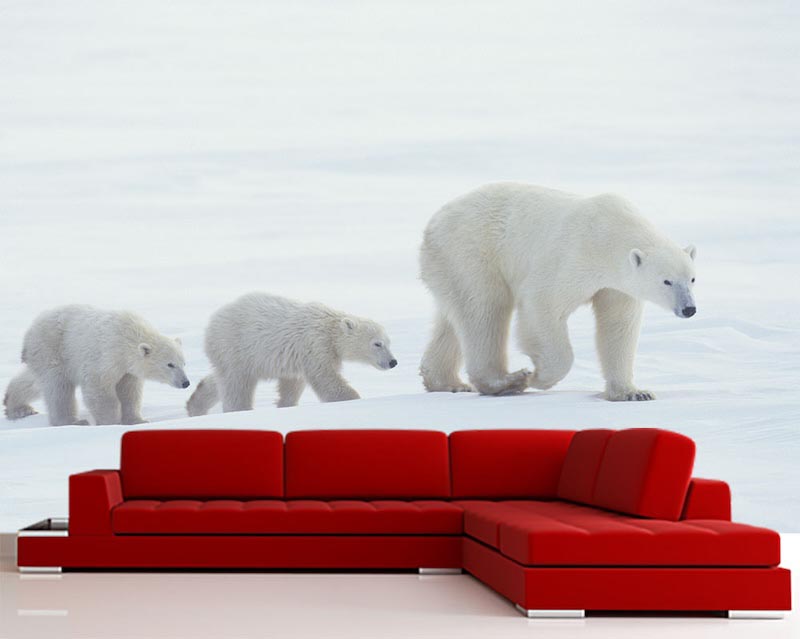 Family - Photo wallpaper decor applied