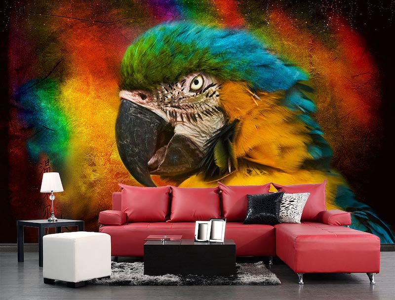 Parrot - Mural wallpaper applied