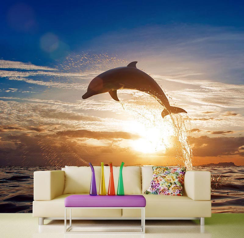 Jump, dolphin - Mural wallpaper applied